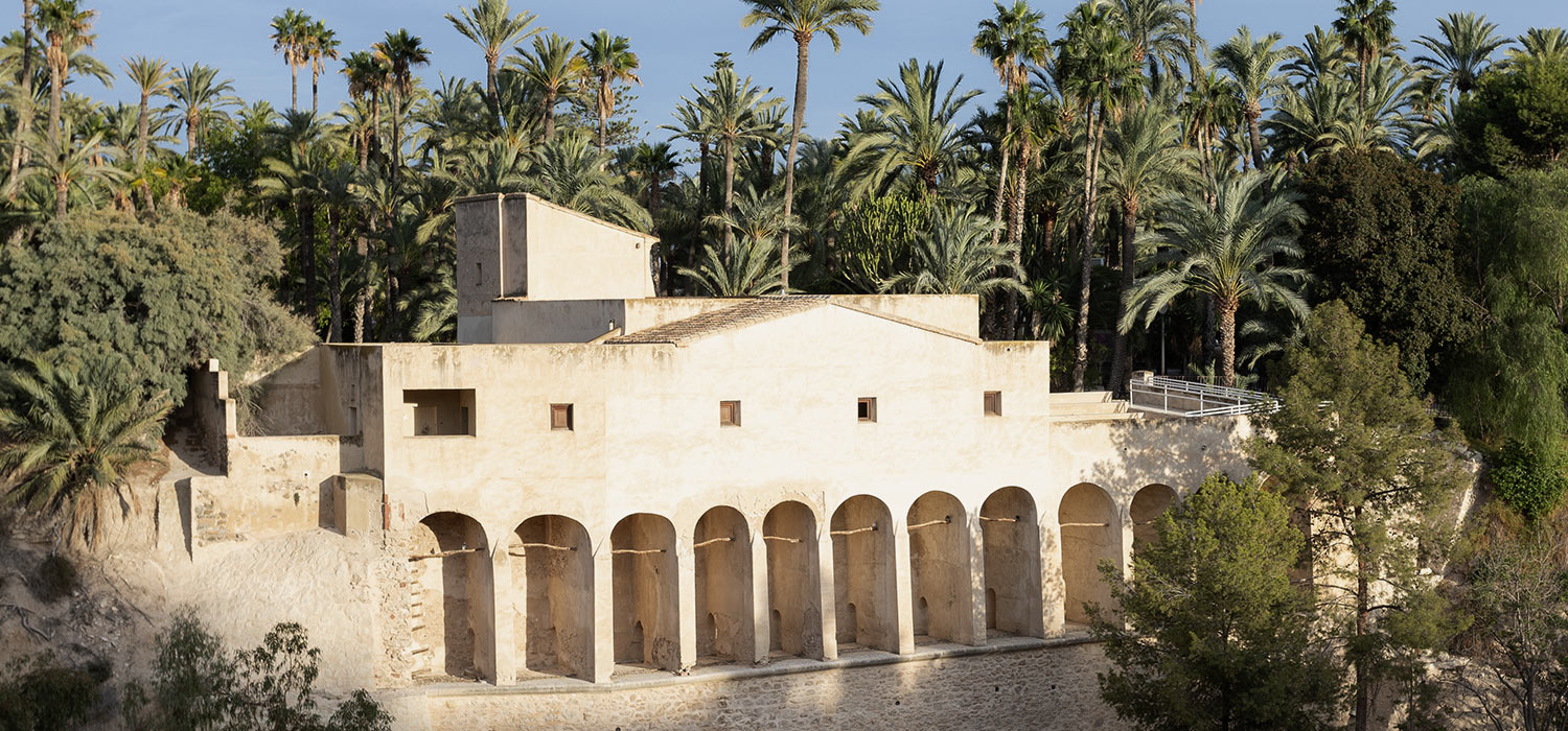 palmeral-4